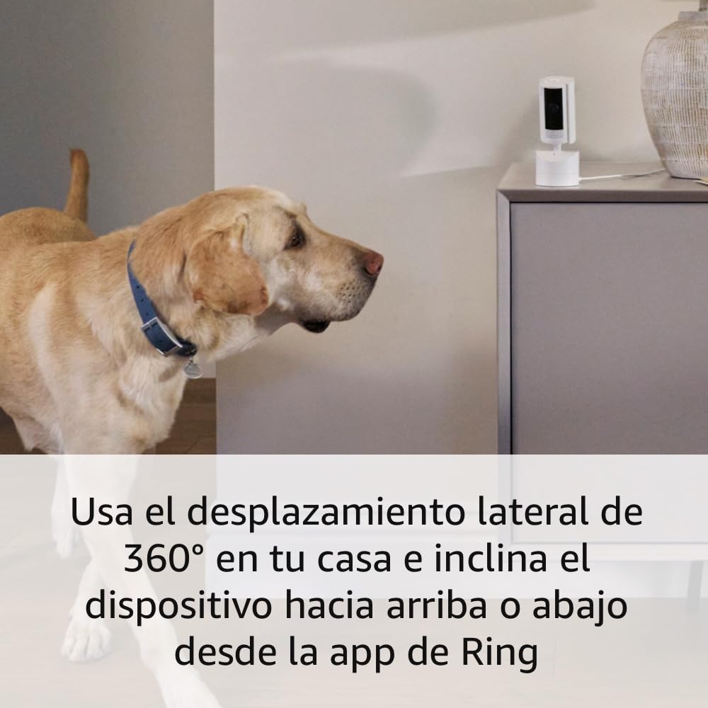 CAMARA RING INDOOR CAM